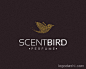 ScentBird
国内外优秀LOGO设计欣赏