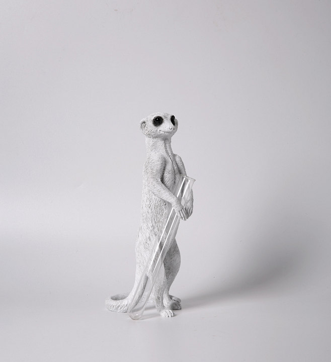 Meerkat X VASE