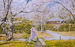 【图片】#宝藏小城#[kris带你云游花海】春来夏往，秋收冬藏，请收好这份四季“花海报表”,浙江景点图片-游侠客旅行