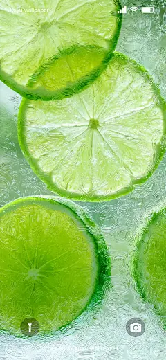 夏日青柠丨壁纸分享丨Ruyu-012 - 小红书