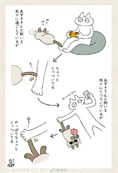 整点猫猫图
Twitter:yamanobejin

暹罗猫天下第一!!(可以截图成表情包) ​​​​