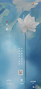 大暑