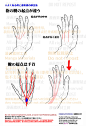 #漫画素材工房 個人メモ：手の基本・指の腱 - 漫画素材工房的插画
