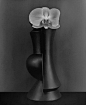 Un Phalaenopsis et Vase Noir