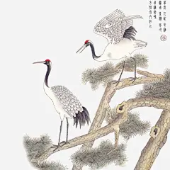 古风彩绘丹顶鹤松枝_新图网 https://www.ixintu.com