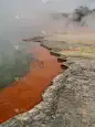 罗托鲁瓦的香槟泳池_5242742549