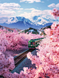 开向春天的火车桃花树林风景
