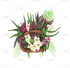 水彩花篮在白色背景上孤立。手绘粉色的花和绿色的叶子。花卉插图。