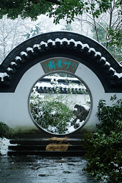 阿修禽兽菌采集到东