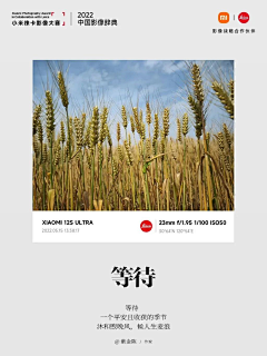 夏天XIA-采集到小米徕卡影像