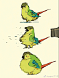 我养的可能是假鸟——第三波底迪酱的小短漫合集#神烦鸟底迪酱#​​​