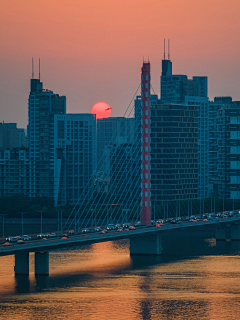 花村妇联主任采集到城·市·之·光