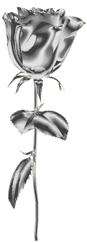 酸性花