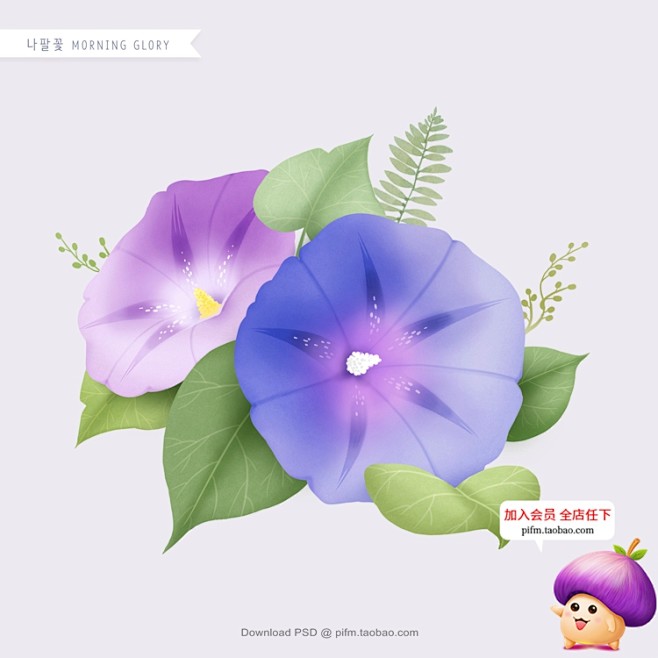 s2098精美水彩手绘花卉绿植植物棉花多...