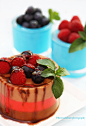 Triple Mousse w/ Berries and Chocolate Mint Sauce by theresahelmer