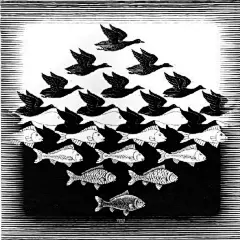M.C. Escher – Sky and Water I, 1938 woodcut