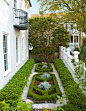 A small parterre is planted with boxwood, ivy, and dwarf mondo grass - Traditional Home® Photo: Brie Williams