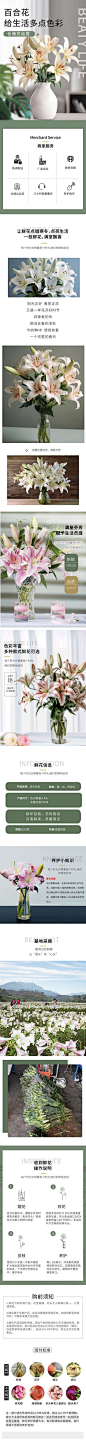 【南门网】广告 海报 电商 详情页 百合花 专题 鲜花 盆栽