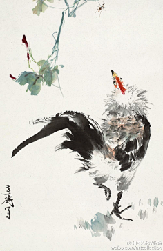 画——写意大公鸡-花瓣网|陪你做生活的设计师 | 女画家吴青霞作品