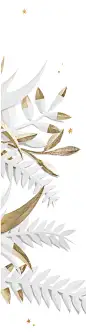 素材纸花