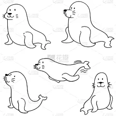 海狮,可爱的,创造力,华丽的,图像,海洋,布置,收集,坐,装饰