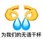 为我们的无语干杯