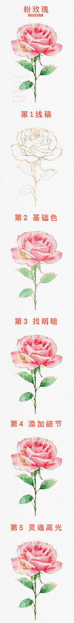 YDCSatSP采集到1入门水彩
