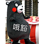 #熊本熊表情包# #熊本熊# #表情包# #熊本熊图片# #熊本熊图库#