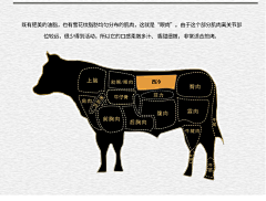 yi~yu~采集到。