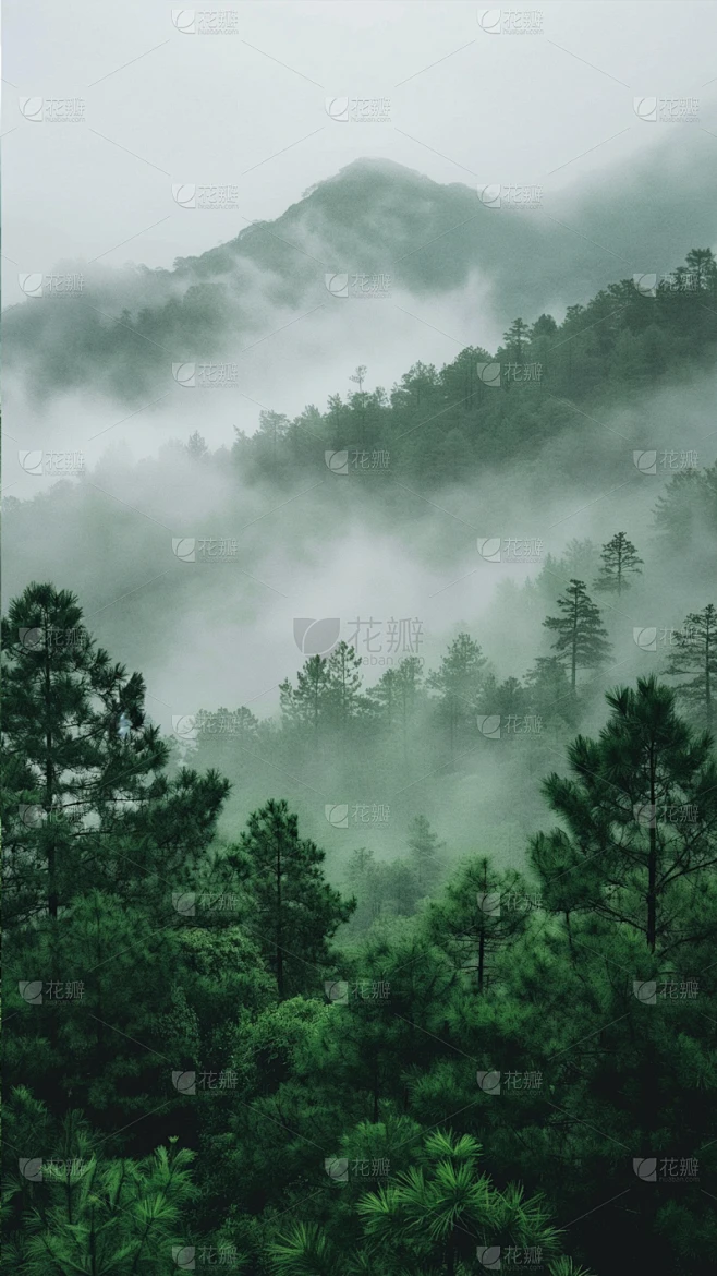 风光通用实景森林云雾背景图片素材素材-花瓣网