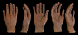 hand texture: 2 thousand results found on Yandex.Images