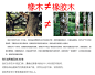 美式全实木高箱床1.8米乡村真皮床欧式古典双人复古田园储物家具-淘宝网