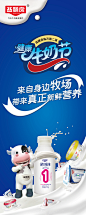 牛奶节活动物料