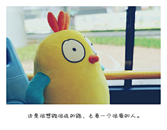 玩偶大师采集到玩偶大师拇指鸡语录小清新壁纸
