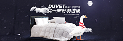 Soentake采集到Banner