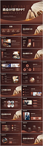 棕色融资计划书.PPT-源文件