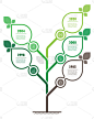 Vertical green infographics or timeline. The susta