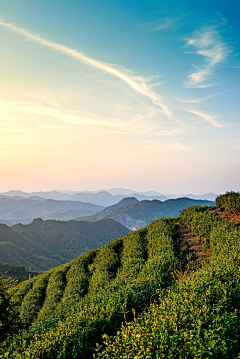 卟カ棄╰ンキ采集到风景