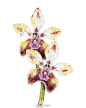 珠宝设计||Tiffany的花园

珠宝设计珠宝艺术范彩宝设计美学蒂芙尼时尚设计秀珠宝首饰 ​​​​
