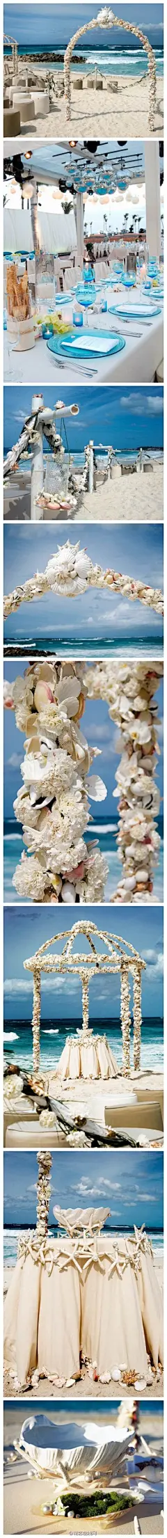 贝壳？花？
