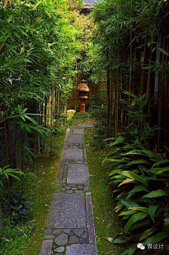 老曹aim采集到庭院