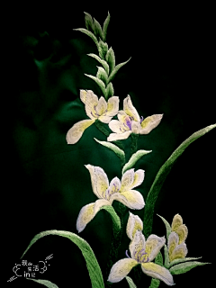 幸运星闪一闪采集到茶席