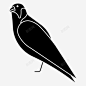 猎鹰动物鸟 免费下载 页面网页 平面电商 创意素材