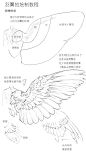 Sai大师的照片 - 微相册