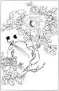 牡丹高清白描线稿图片下载（67幅）-墨尖族