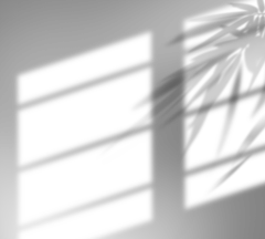 摄图网_401855305_创意手绘阳光照射窗户植物投影（非企业商用）