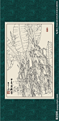 白描芭蕉图