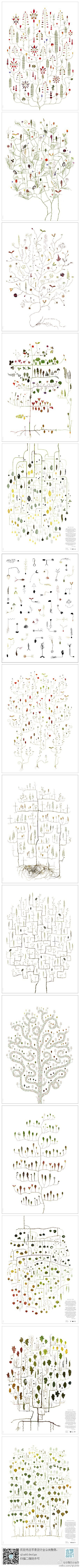 淑贤2328采集到植物 插画