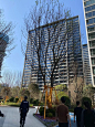 微信图片_20240401182542