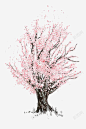 樱花树高清素材 平面 页面网页 平面电商 创意素材 png素材